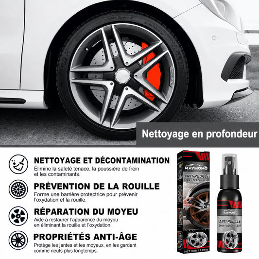 Spray Anti-Rouille Pro